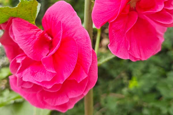 沈阳工商注册代理公司详细介绍工商注册代理优点 